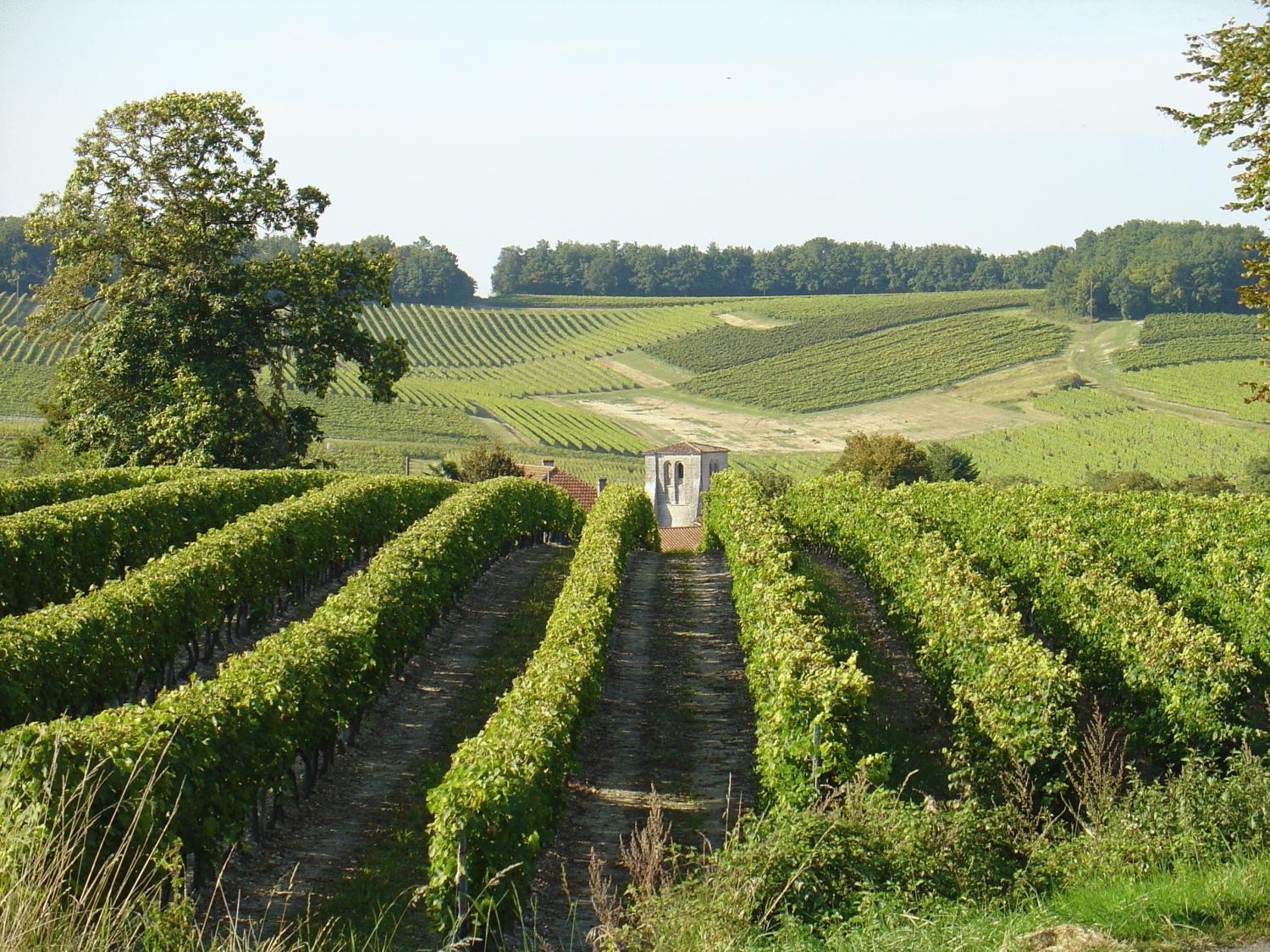 Le Relais De Saint-Preuil, The Originals Relais Vignes Du Cognac Hotel Luaran gambar