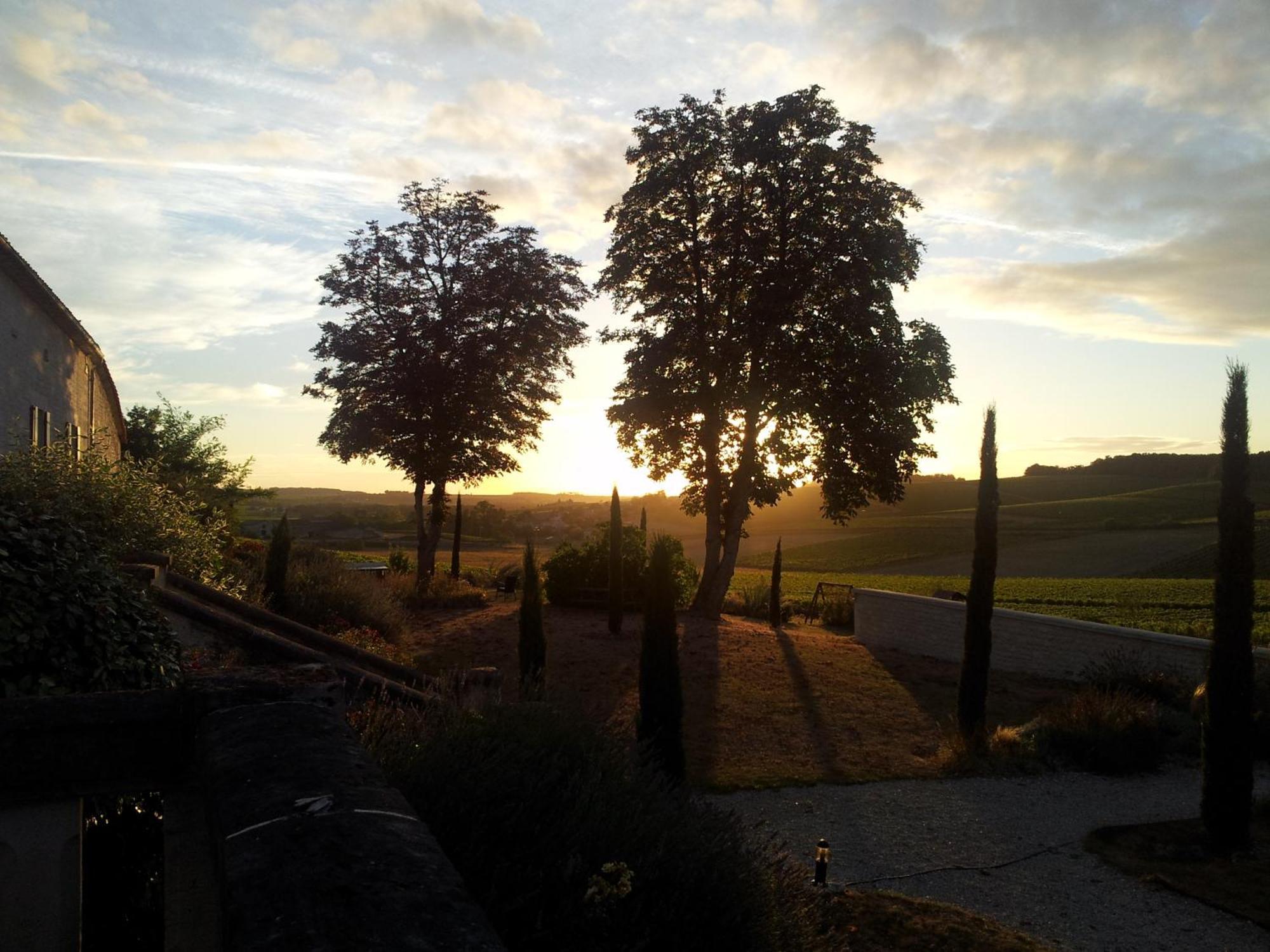 Le Relais De Saint-Preuil, The Originals Relais Vignes Du Cognac Hotel Luaran gambar